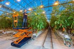 Növelje növényháza hatékonyságát a Berg Hortimotive termékeivel