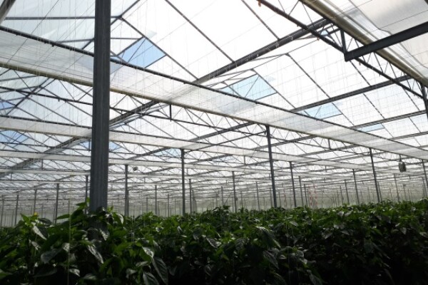 Mi a különbség a diffúz üveg és a diffúz bevonat között?